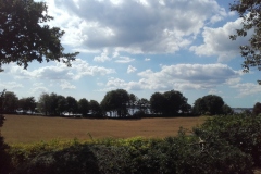 www.schlei.haus / Aussen / Blick von der Terrasse nach Westen