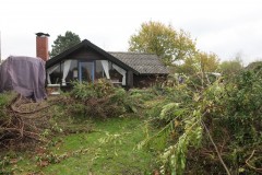 www.schlei.haus / Aussen / Gemüseabschnitt vorm Haus