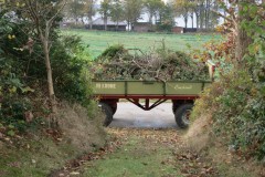 www.schlei.haus / Aussen / Gemüseabschnitt Abtransport