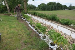 www.schlei.haus / Aussen / Hecke