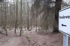 www.schlei.haus / Wanderweg zum Langsee